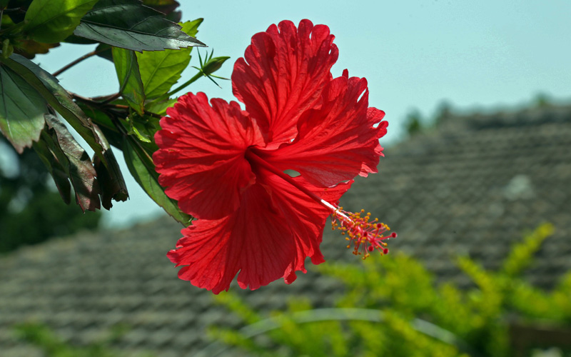 愛と癒しのサロン「るんなむ」